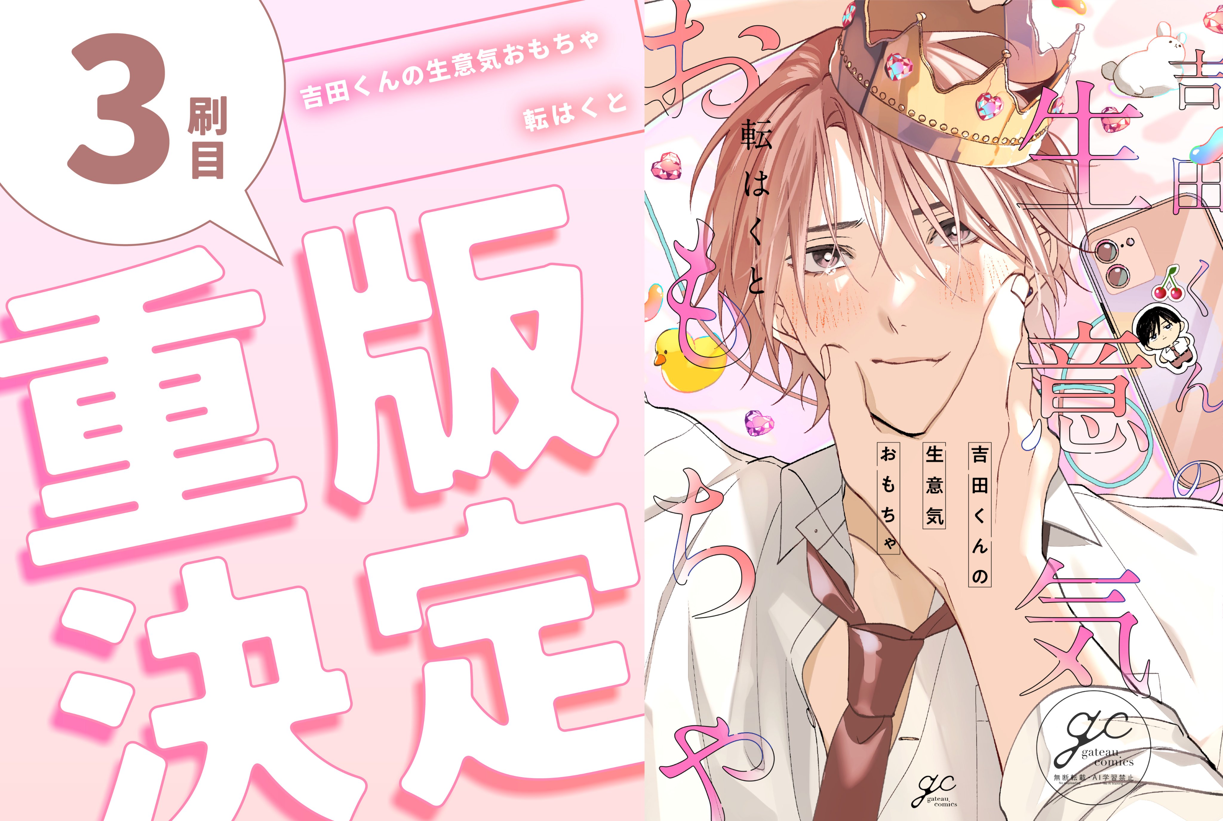 一青窈 初期ファンクラブ 一青堂 会報誌 一青紙 ２号～23号 全22冊 一青窈 初期ファンクラブ 一青堂 会報誌 一青紙 2号～23号 22