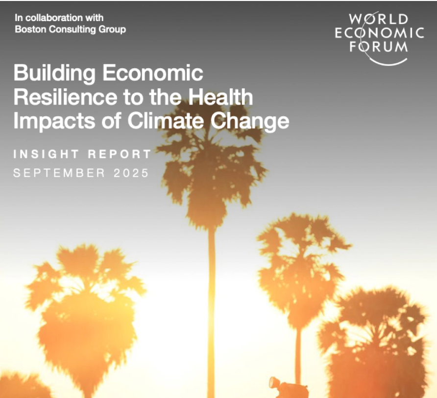 Re Rebaudengo tweet media