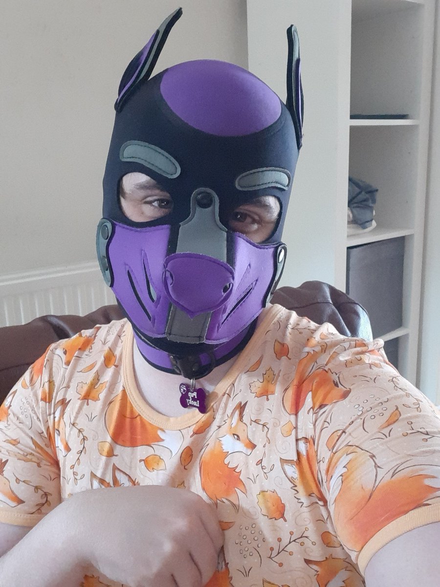 Finally got myself a onesie from <a href="/OnesieDownunder/">Onesies Downunder</a>!

So cyute and comfyyyyy 💜
Arff! Arff!

#paddedpup #pupplay #diaperpup #humanpup #gaypup