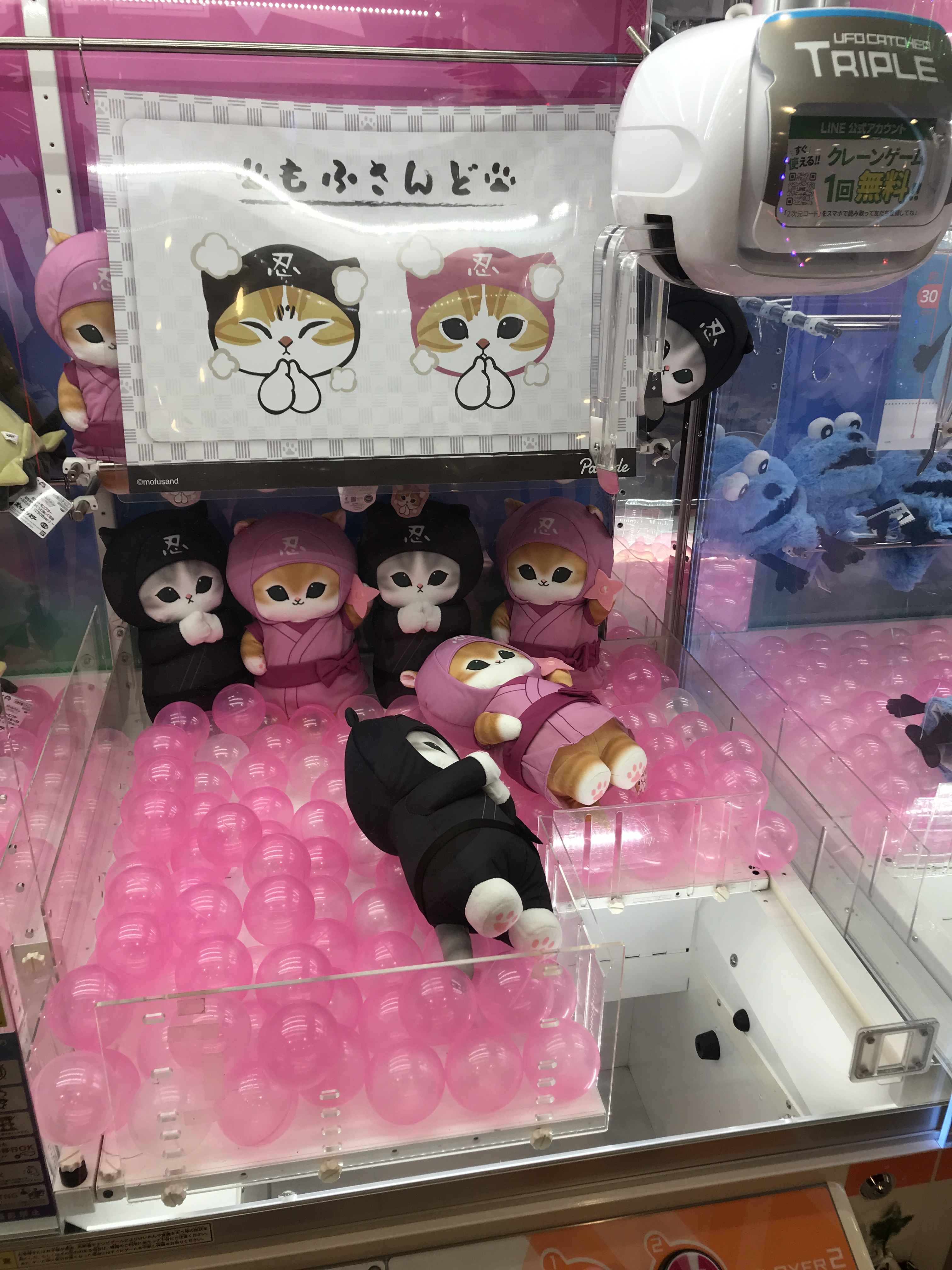 ♡新品♡マイメロ　シロネコ　ぬいぐるみ ♡新品♡マイメロ シロネコ ぬいぐるみ Amazon.co.jp: サンリオ