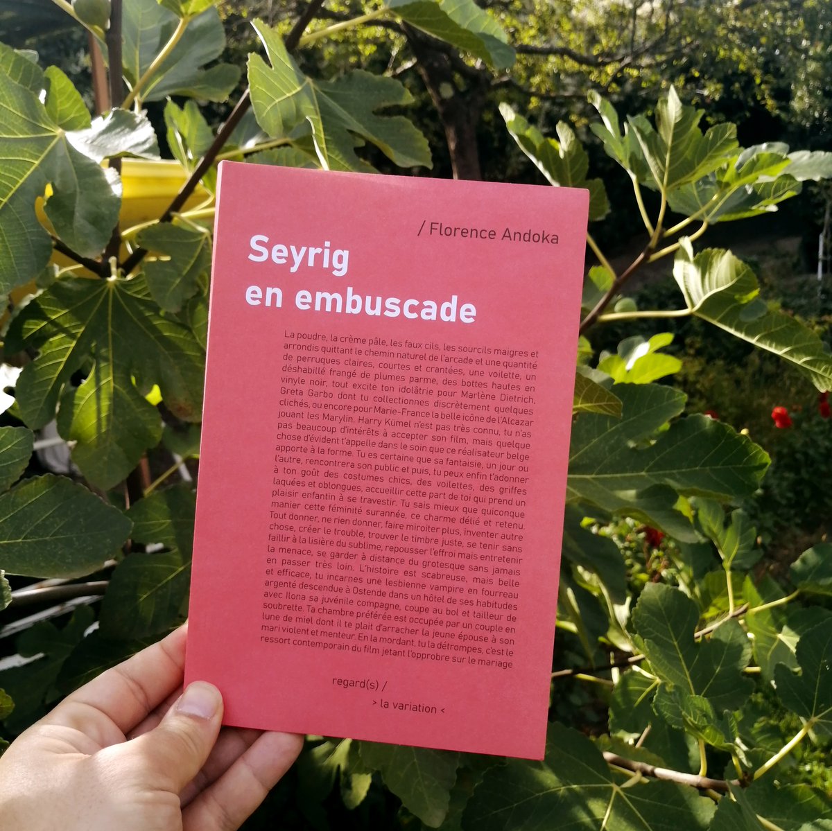 En librairie aujourd'hui Seyrig en embuscade par Florence Andoka 

Delphine Seyrig est une immense artiste et une grande féministe qui a pris la caméra pour dénoncer le sort trop souvent réservé à ses consœurs dans l’industrie du cinéma.

#delphineseyrig
#editionsdelavariation