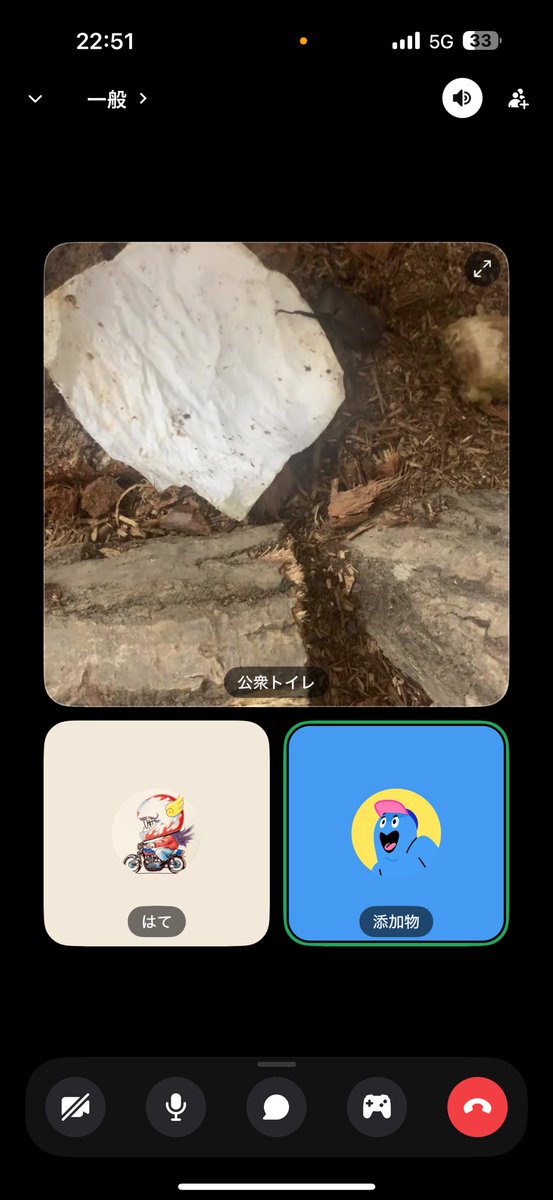 一緒に取りに行ったカブト虫元気にしてて嬉しいバリ長寿で感心、微笑ましいですな笑