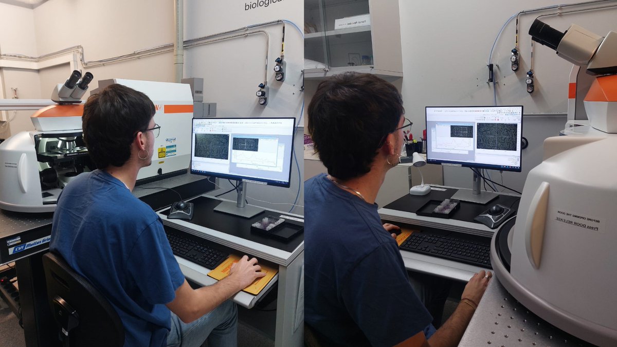 Institut de Recerca Sant Joan de Déu tweet media