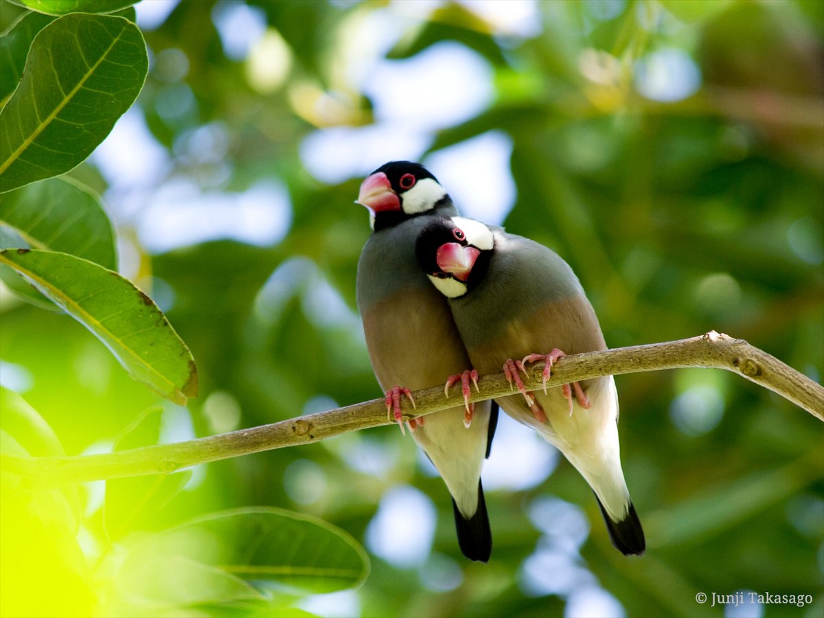 高砂淳二 海の青 高砂淳二写真展：PLANET of WATER - デジカメ Watch