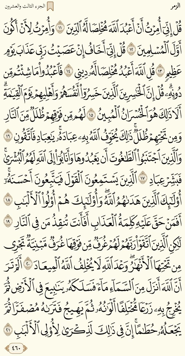 Shereef_Wagih79's tweet image. صباح الخير.......ورد الجمعة