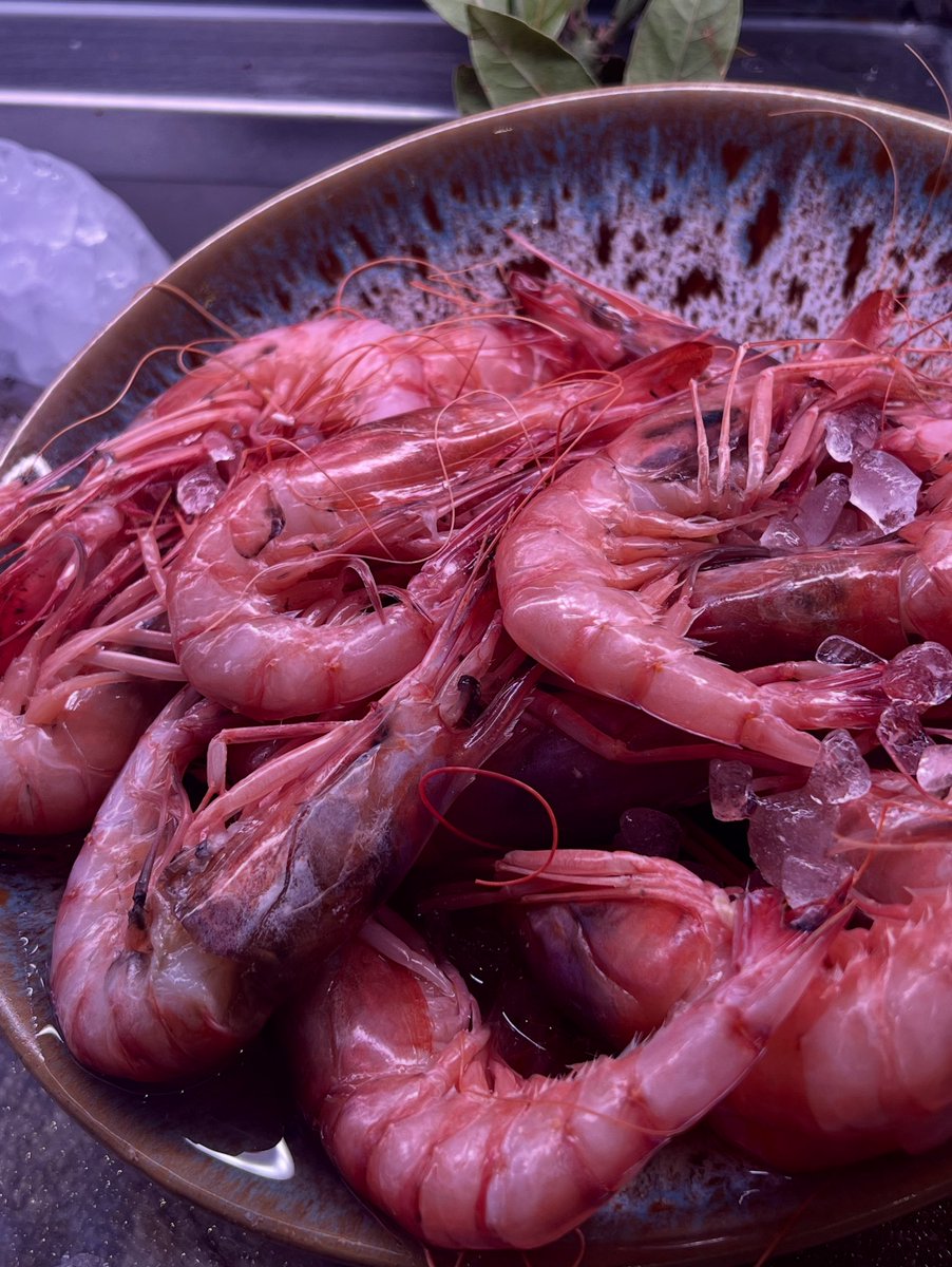 Directas de Dénia, con ese desparpajo que solo da el mar y la sangre vieja de puerto. Caminan como quien no pide permiso, más chulas que un ocho y con ese descaro elegante que en Madrid se aplaude, pero aquí parece desafío.