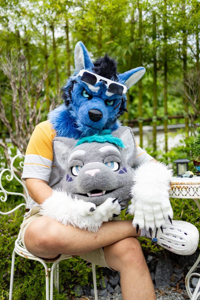 UminekoFursuit's tweet image. Told you the high-paying overseas job was a trap. Now look at you, reduced to a head! A HEAD!! 🤯
——————————————
really love the look in my eyes here.
📸:@linkkunghusky 
🐱:Yue Cat
#Mareas #Ardu #Fursuitfriday #Jareecafe