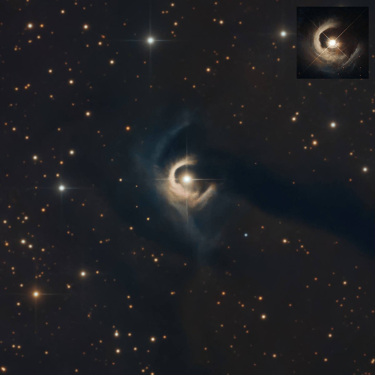 QHYCCD's tweet photo. ✨FUOR V1331 Cyg
By Kent Wood
🔭📸
Telescope: Planewave CDK17 
Camera: QHYCCD QHY600PH M
Mount: Astro-Physics 1600GTO
Astrodon Gen1 E-Series Tru-Balance Blue
Astrodon Gen1 E-Series Tru-Balance Green
Astrodon Gen1 E-Series Tru-Balance Lum
Astrodon Gen1 E-Series Tru-Balance Red https://t.co/zuu3chEPx5