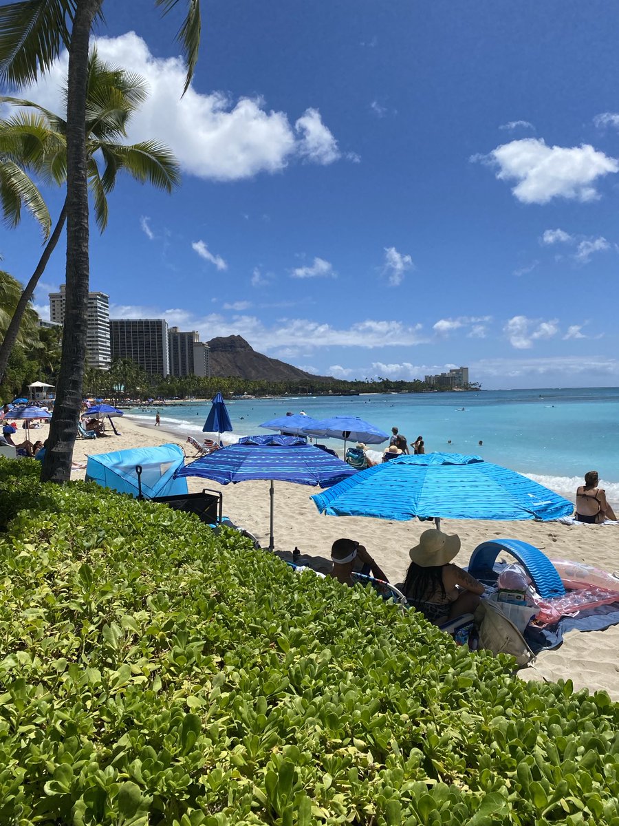 It’s been quite a while since I’ve been here. Looking for a bar in Honolulu to watch the game tomorrow. Any suggestions?