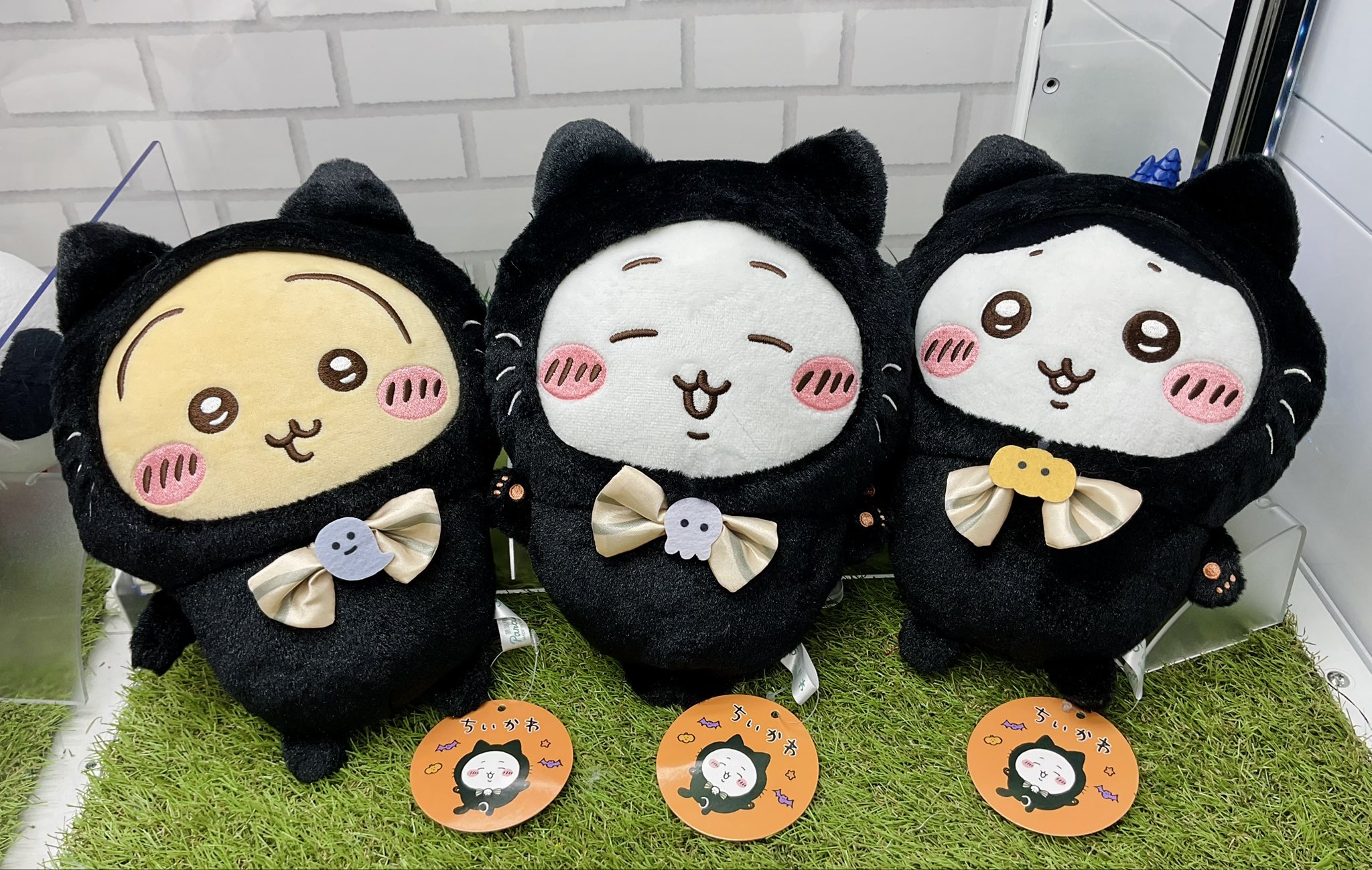 にゃこもこ 公式】楽市楽座303佐賀大和店 on X: