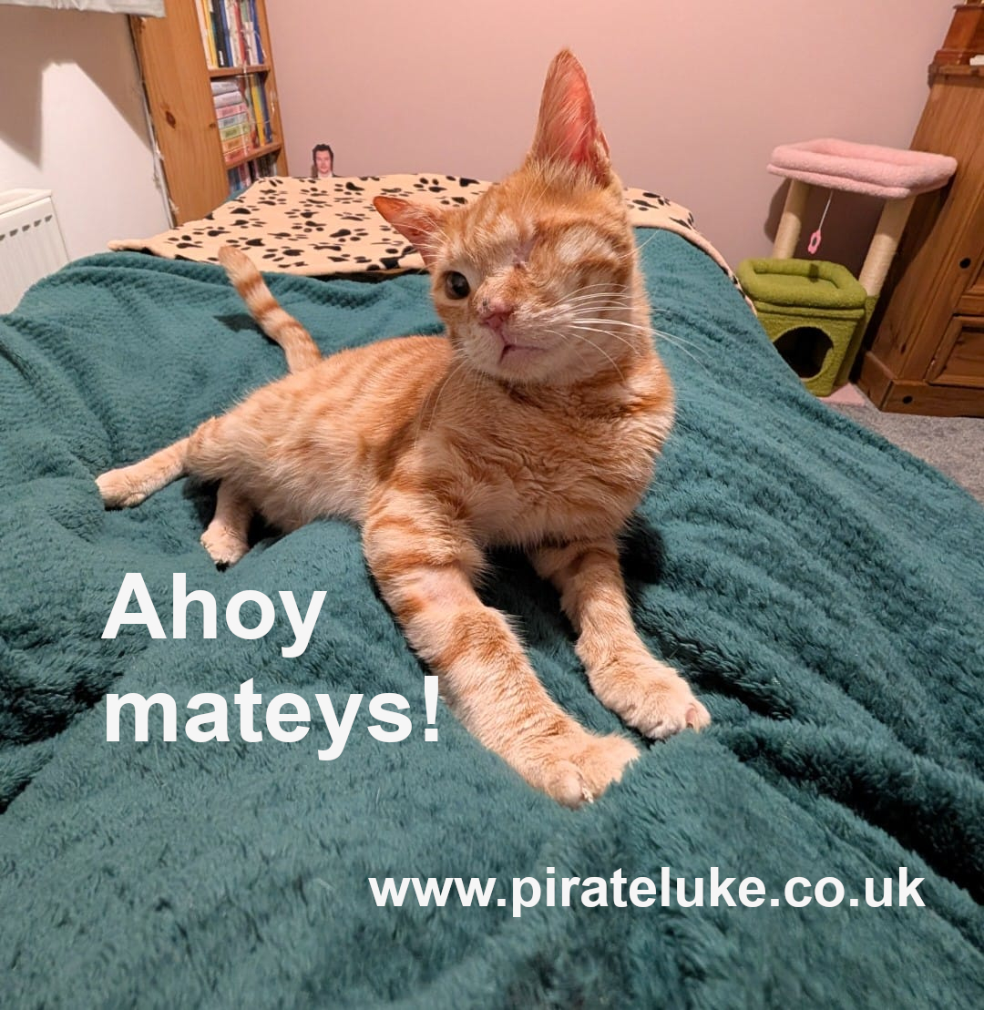 Beth Burgess tweet media