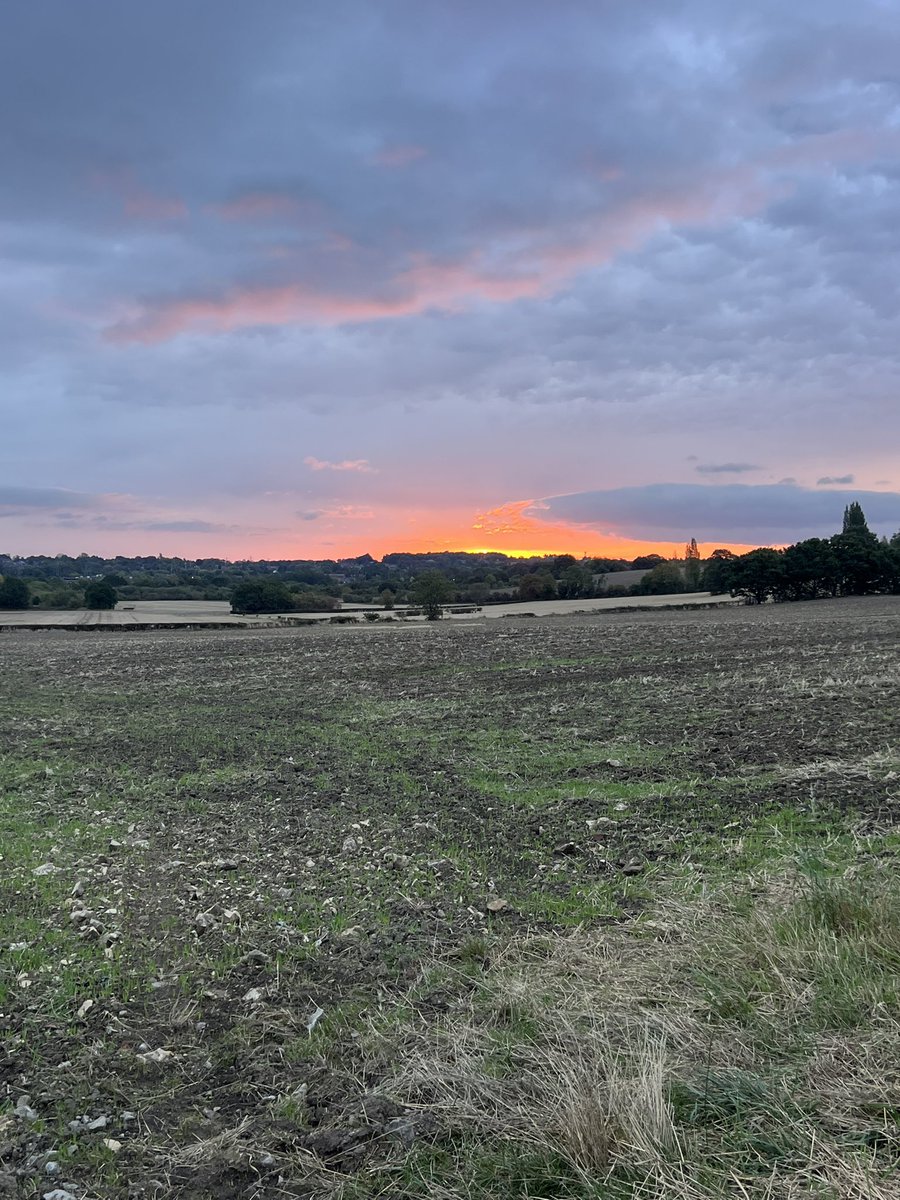 ClaireWRiley1's tweet photo. This morning as the sun rises on a new amazing day…@BiffyClyro are back*!!! What an amazing sound in my ears as I headed out this morning 🙌🏼

Mon the Biff! 

*they never really went away to me 💙 https://t.co/CzWKBM4fAc