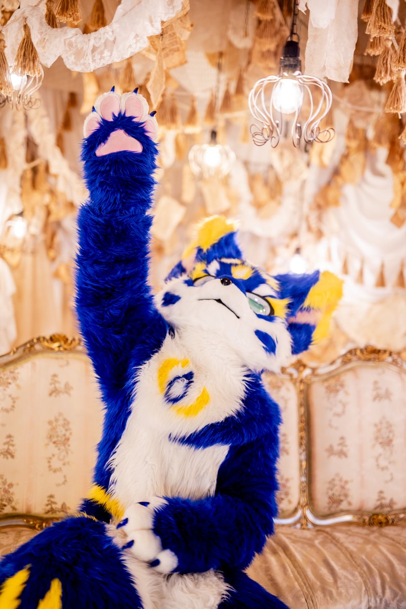 めあ🐱「ネコだねぇ」
🥜🦊「ネコだねぇ」
💥🐐「ﾈｺﾁｬﾝ」

📸: <a href="/nightmare_chama/">めあ</a> 
#FursuitsFriday 
#ふぁーりーファンタジー