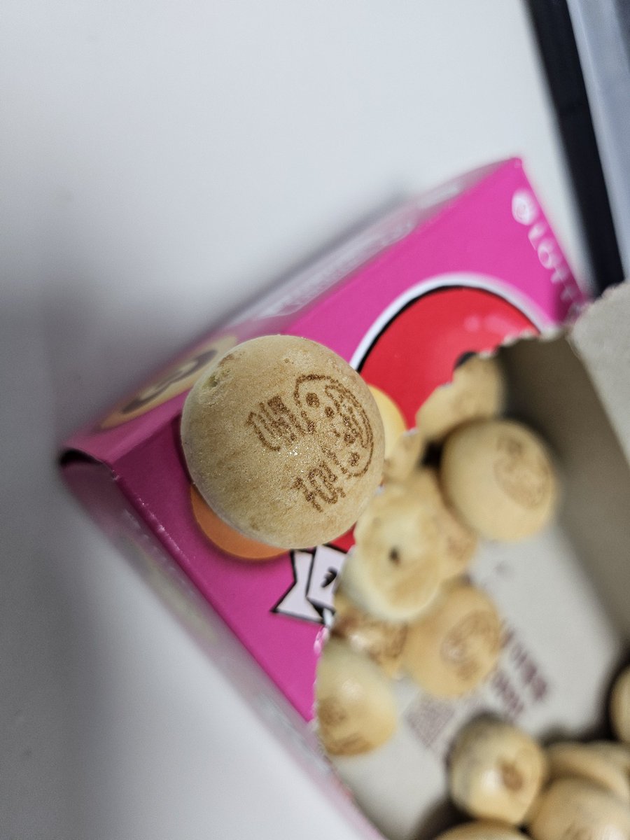 동호다❤️🐯❤️
#백호 #강동호 #BAEKHO
#칸쵸 #칸쵸이름찾기 #칸쵸이름찾기이벤트 #칸쵸내이름을찾아라