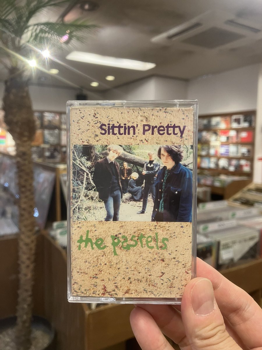 the pastels / sittin' pretty ('89) 最も“ギターポップ”なアルバムだ