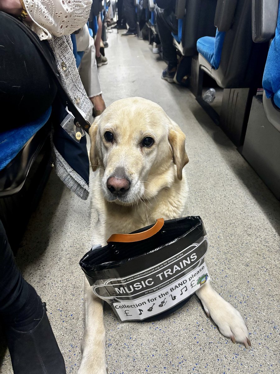 Friends of Altrincham Interchange (@foainterchange) on Twitter photo Fabulous night on the #musictrain last night from #Altrincham to #Chester with #HoundDogBlues
<a href="/northernassist/">NORTHERN 🚆</a> <a href="/MidCheshireCRP/">MidCheshireCRP</a>
followed by a night of #jazz in Alexander’s and bangers and mash! #rail #train .
Next one October 16 th
midcheshirerail.org.uk Fabulous night on the #musictrain last night from #Altrincham to #Chester with #HoundDogBlues
<a href="/northernassist/">NORTHERN 🚆</a> <a href="/MidCheshireCRP/">MidCheshireCRP</a>
followed by a night of #jazz in Alexander’s and bangers and mash! #rail #train .
Next one October 16 th
midcheshirerail.org.uk