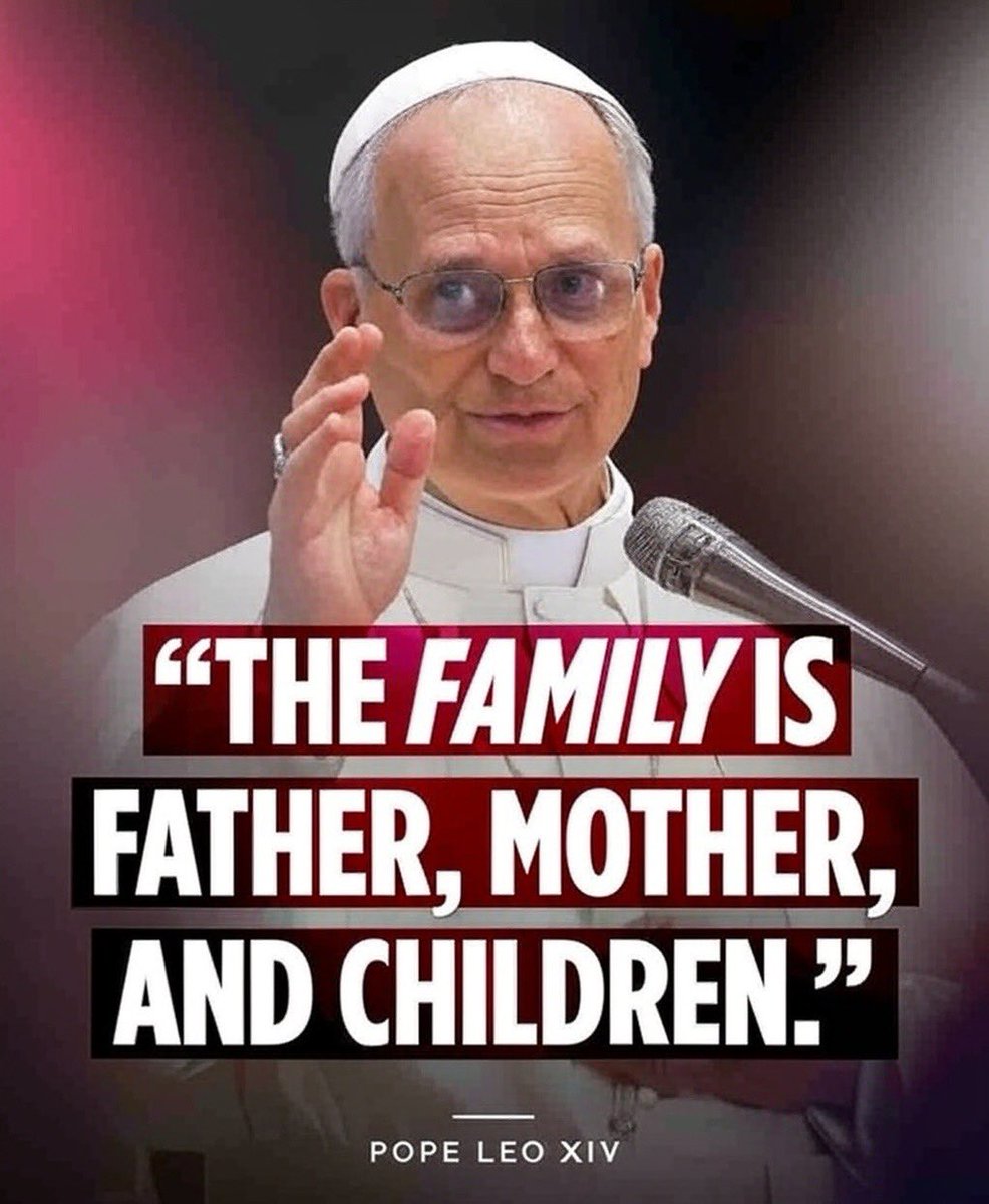 Pope Leo XIV Parody tweet media