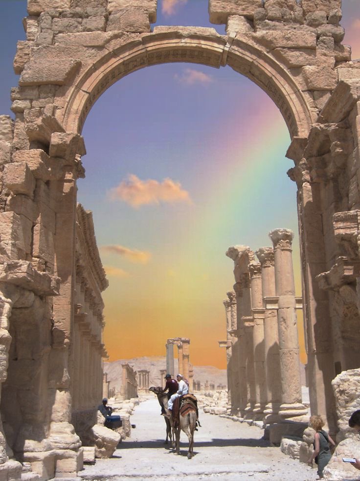Palmyra pinterest tweet media