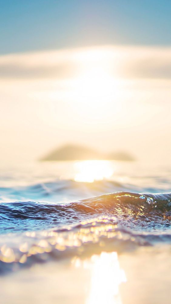 불타는 해바라기 (@haebaraagi) on Twitter photo 