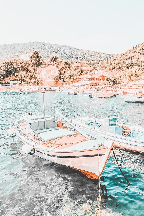 불타는 해바라기 (@haebaraagi) on Twitter photo 