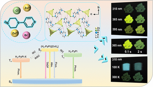bhkenlo's tweet photo. Leveraging Thermally Activated Delayed Fluorescence and Dual Room-Temperature Phosphorescence for Tri-Mode Color-Tunable Afterglow in Zinc Halides | Inorganic Chemistry https://t.co/kuz5Nd2lxD Ma, Li, and co-workers @InorgChem #zinc #halides #MOHs #afterglow #trimode #colors https://t.co/yspZEDOpbF