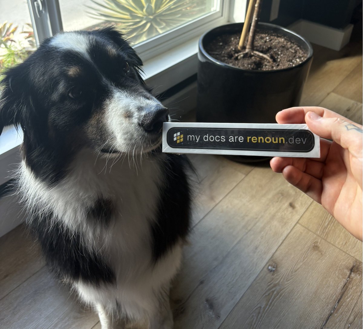 No time like right now, I’m excited to finally share what I’ve been building!

renoun renoun.dev
The Documentation Toolkit for React
- Fully headless components, hooks, and utilities
- Works across all React frameworks (Next, Remix, Vite)
- Composable by default,