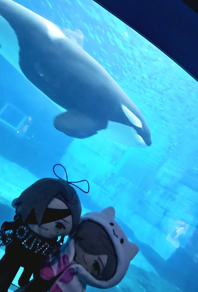 ころも (@koromomo_mo) on Twitter photo 