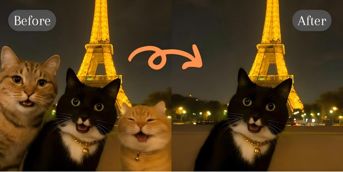 AI_BrightRay tweet media