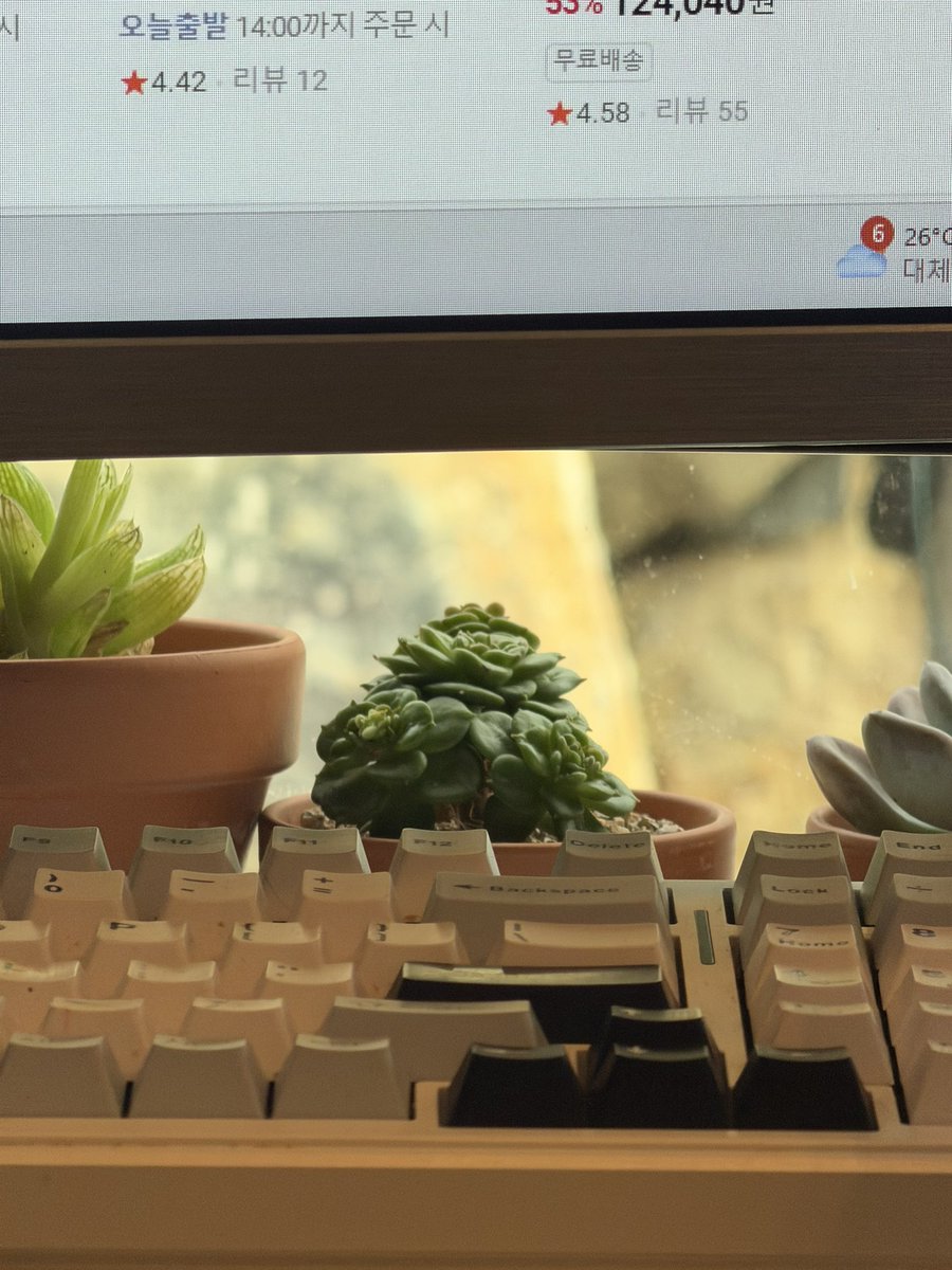 와 8배줌뭐야..? 화질 ㄹㅇ 좋앜ㅋㅋ