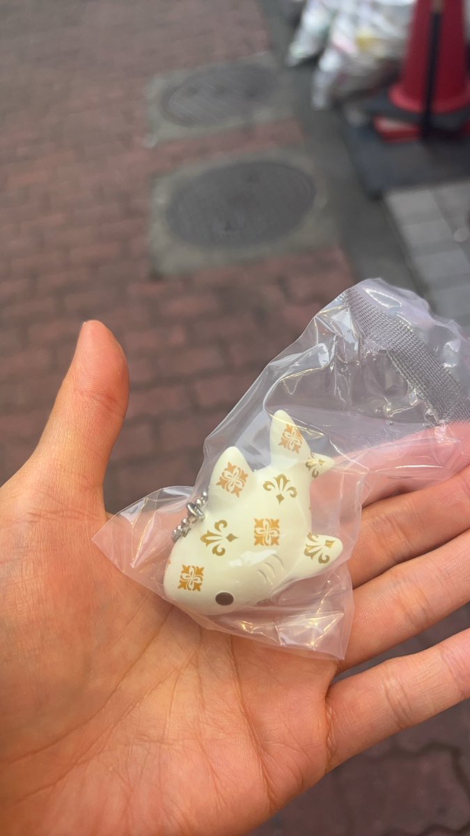 欲しかった白サメちゃんGET!!✨✨

ここからの収録頑張れそう💪🔥