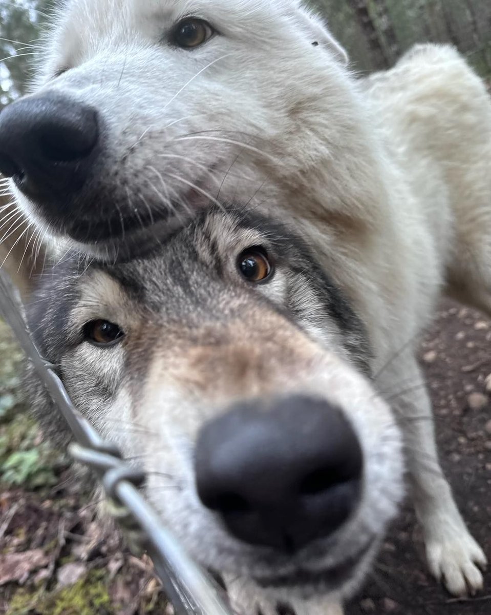 Good morning to you, Kings! 💪

Happy Friday to you all, lads, rise and shine, go forth and have an amazing day, I'm rooting for all of you! Let's get things done and enjoy our well-deserved weekend, upwards and onwards Kings, the day is yours for the taking! 💪