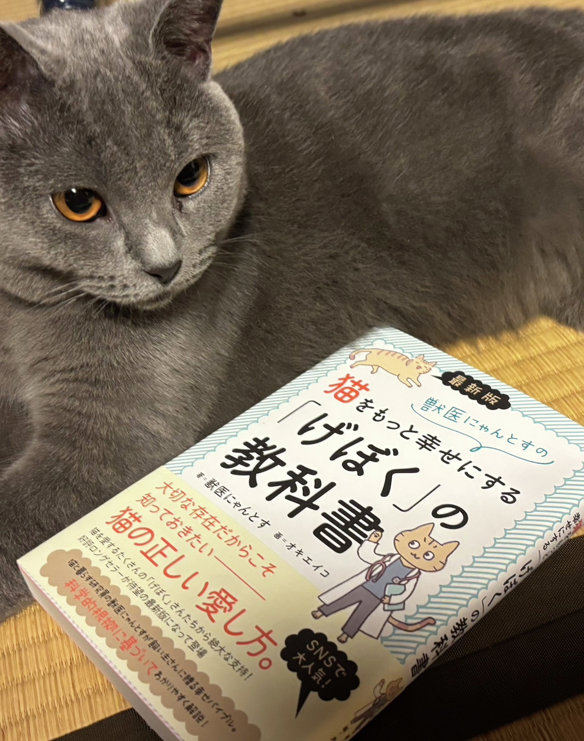 二見書房【公式】 on X: 