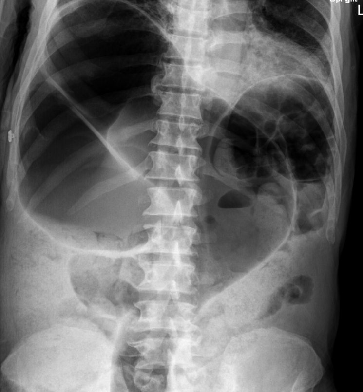 Dr Ihab Suliman tweet media