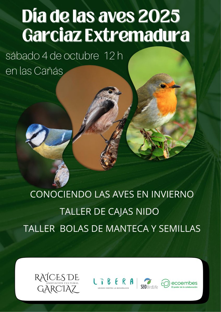 04/10. 12 h. En las Cañás. Día de las aves 2025 en Garciaz <a href="/raicesdegarciaz/">@raícesdegarciaz</a> <a href="/SEO_BirdLife/">SEO/BirdLife</a> <a href="/ecoembes/">Ecoembes</a> <a href="/SIEMPREGARCIAZ/">GARCIAZ</a>  <a href="/LasTejoneras/">Las Tejoneras De Conquista</a>
#ProyectoLIBERA
#Elrobledegarciaz
#ZECsierracabezadeáguila
#Raícesdegarciaz
#AsociaciónCulturalRaicesdeGarciaz
#Caminospublicosdetodosyparatodos