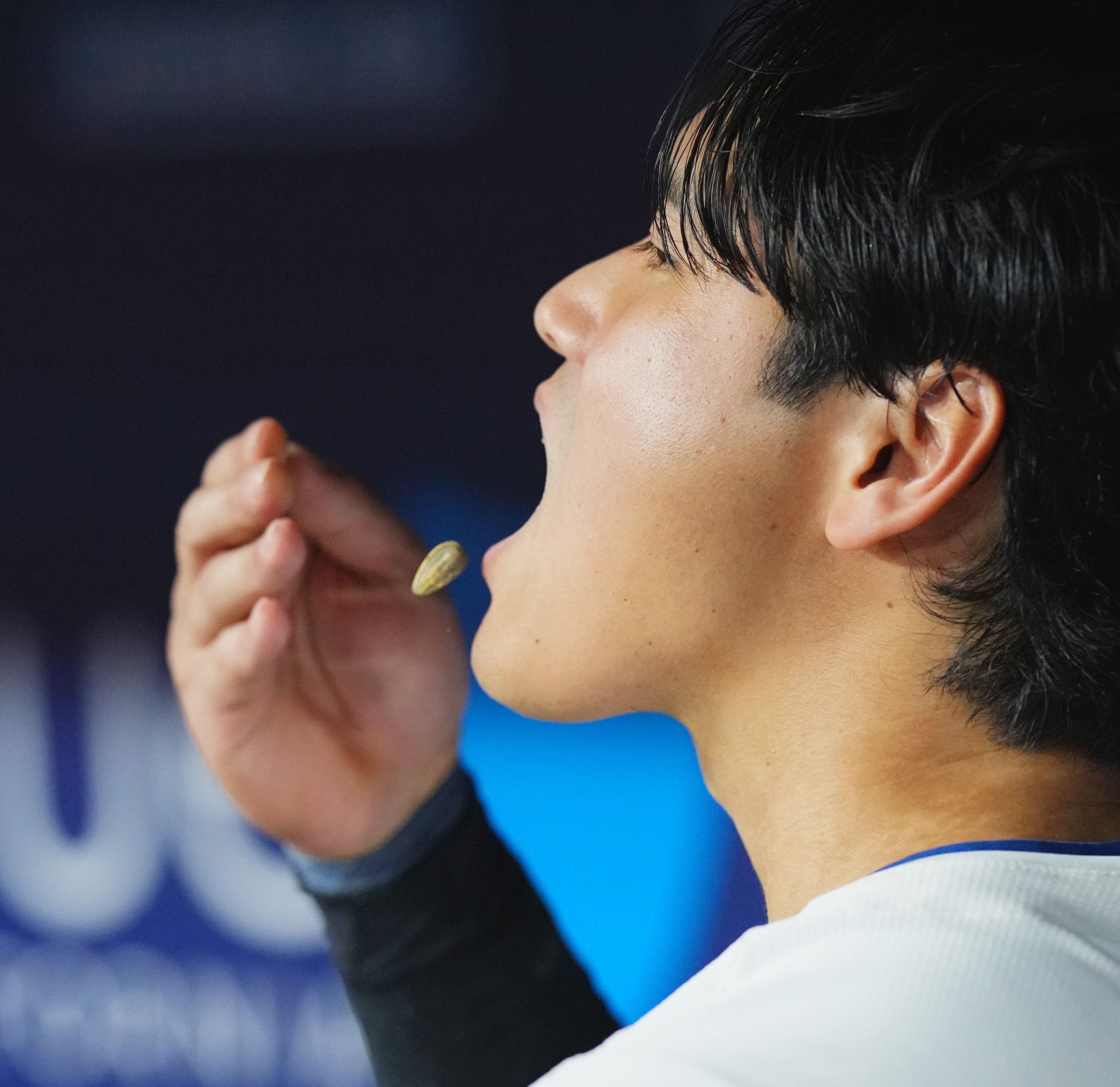 yuyu (@fighters11yuyu) / X