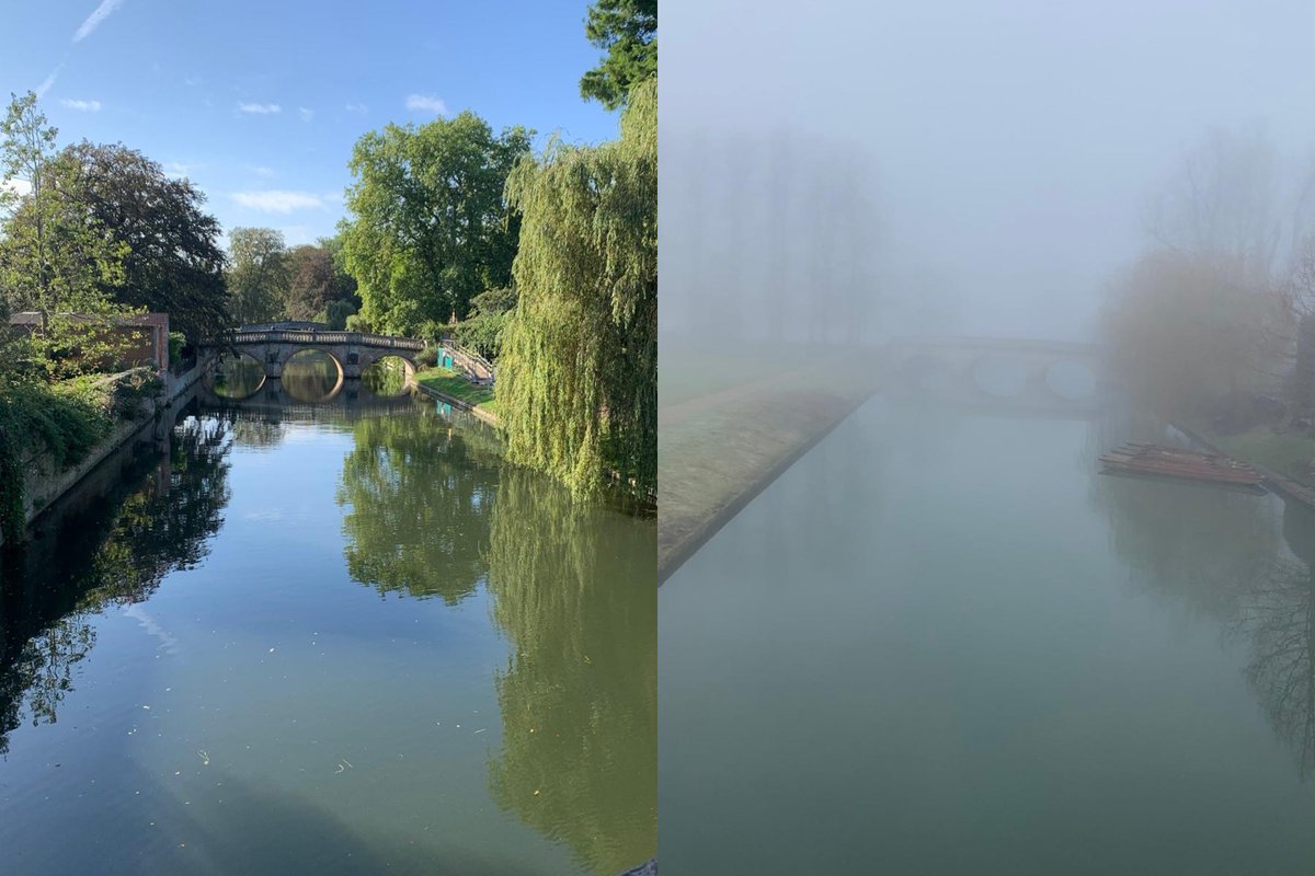 Arad Lang 🎗️ tweet media