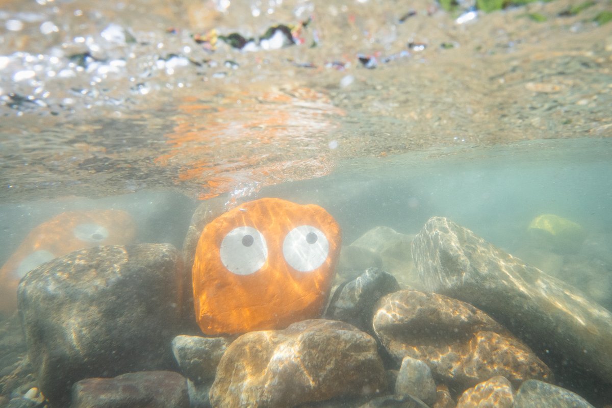 ゴンちゃん - Search / X