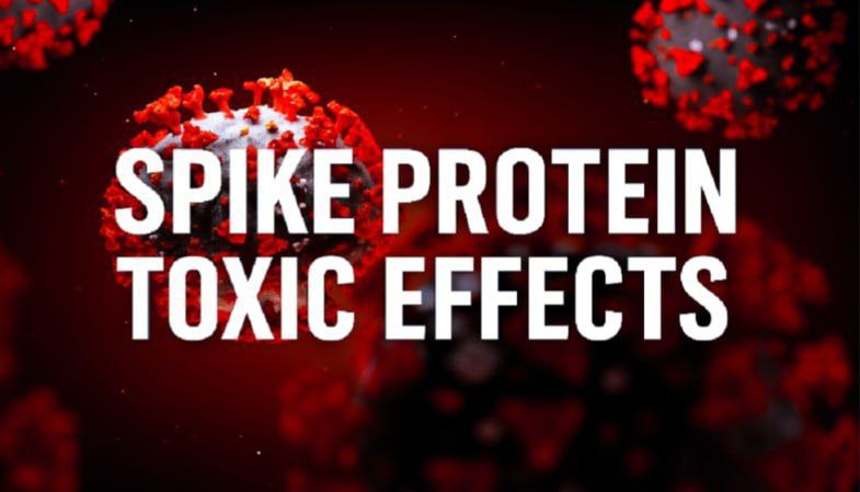SwiadomyWodnik's tweet image. SYGNALISTA Z CDC | EKSPOZYCJA NA BIAŁKO SPIKE JEST PRAWDZIWA

Szczepionka na COVID wywołała tsunami przewlekłych chorób — i oni o tym wiedzieli. To nie była opieka zdrowotna. To była biologiczna operacja psychologiczna.

BIAŁKO SPIKE – MOLEKULARNA SABOTAŻ
Tak zwana szczepionka…