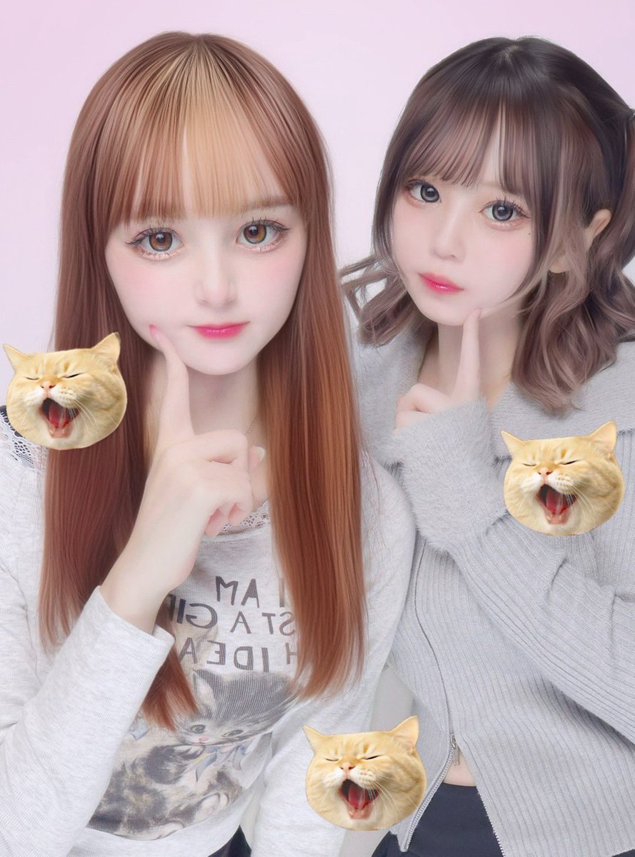 miyaページ4 miyaページ MIYA (@MIYA0038ZX) / X