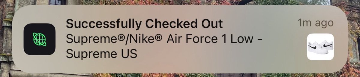 Success from fuzzy1111