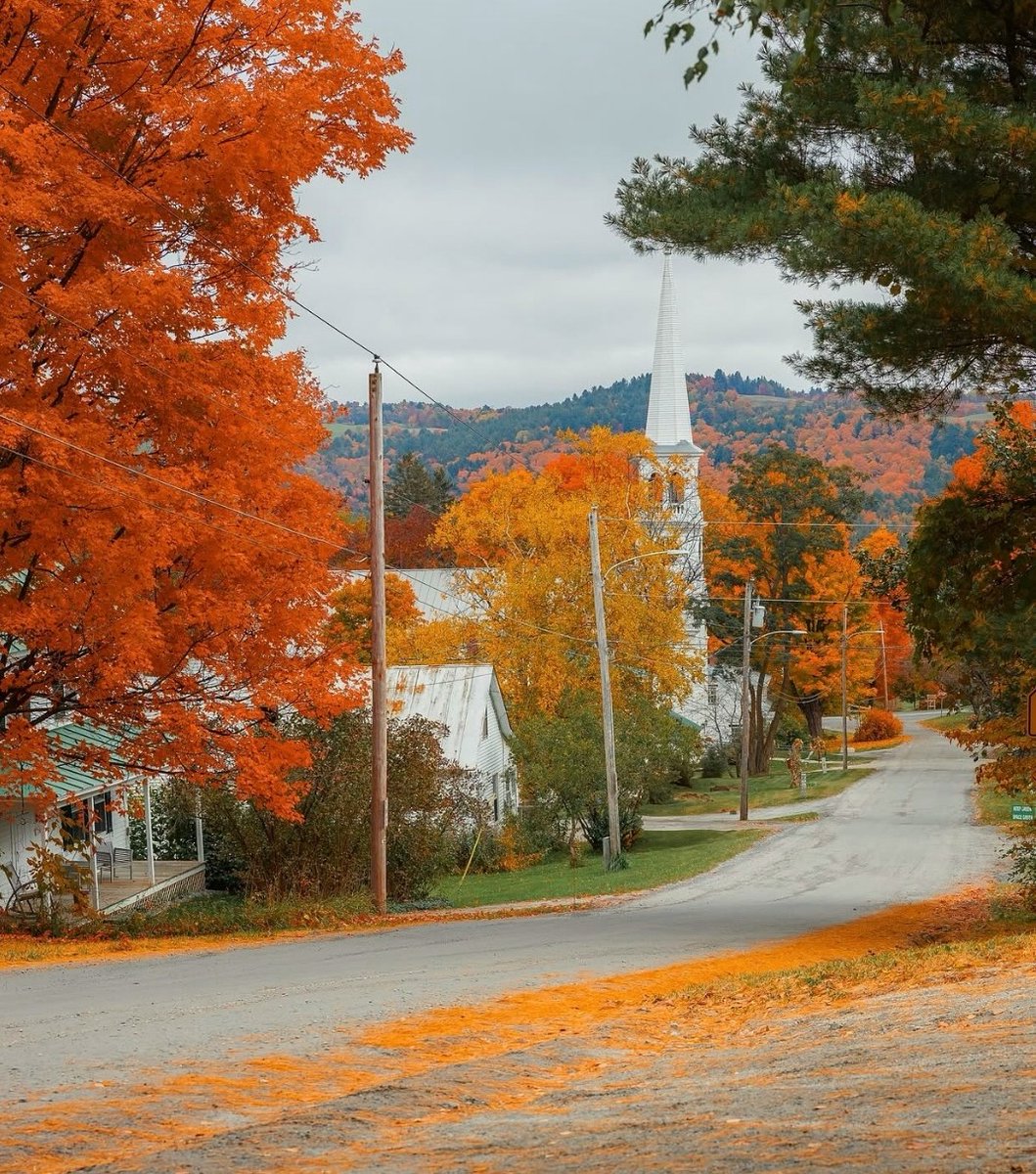 Have a fabulous Friday friends 💐💐