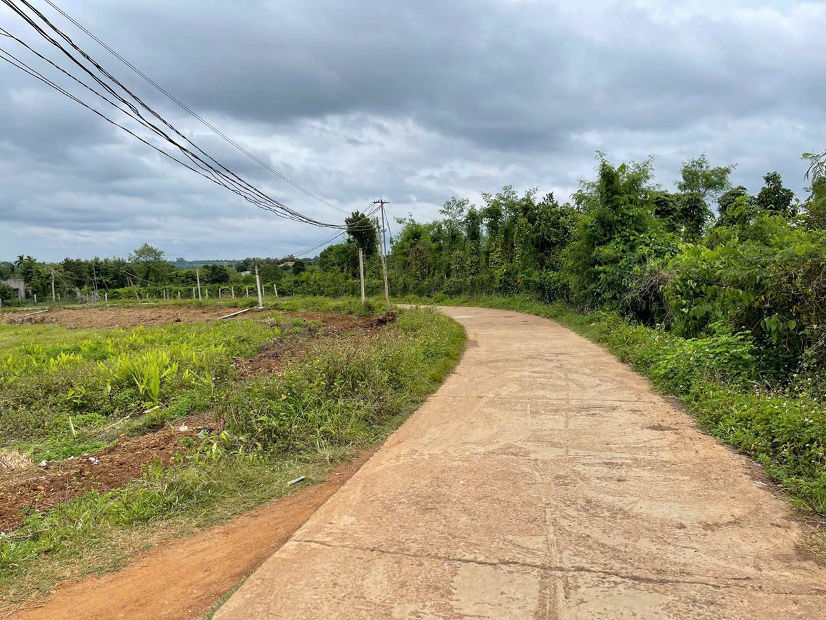 đức tweet media