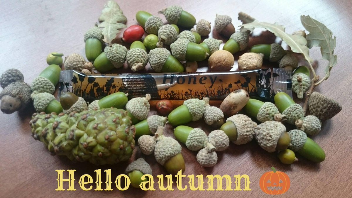 #Autumn  is a second spring when every leaf is a #flower  ~ Albert Camus
#mondayvibes #equinox #newseason #macedonianhoney #MacedonianHoney #apimondia2025 #honey #forest #mondaymood