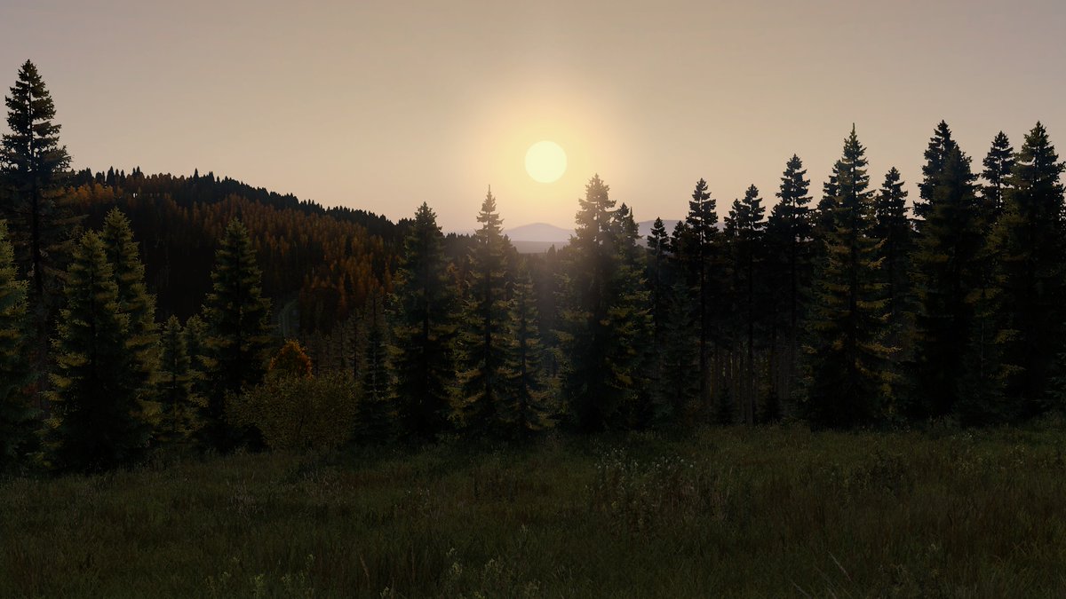 Goood Morning,   
Today is a stream day, Hope to see you in chat :) 
Live on twitch.tv/TheArriana and  youtube.com/@TheArriana