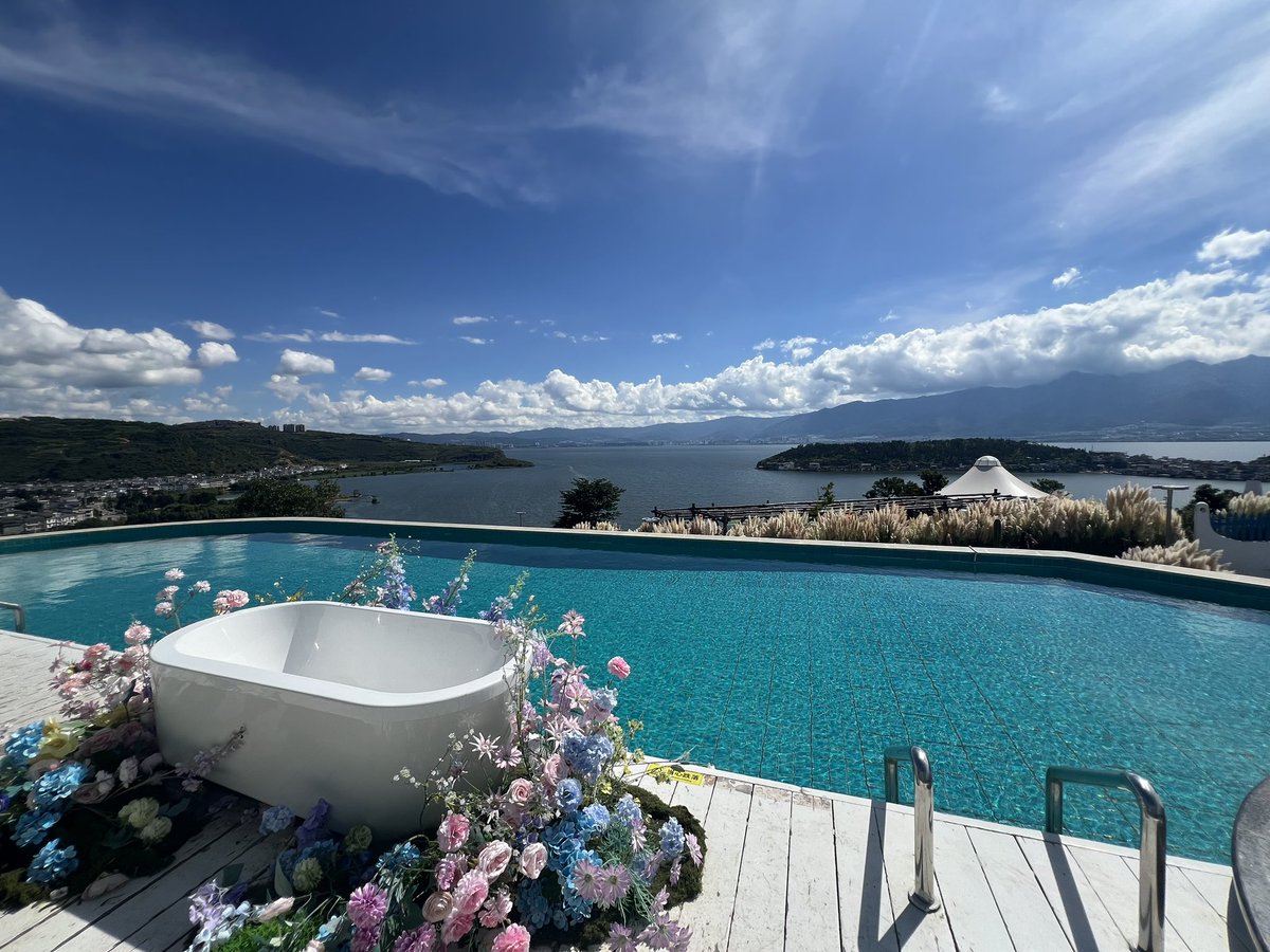 野生的Assir tweet media