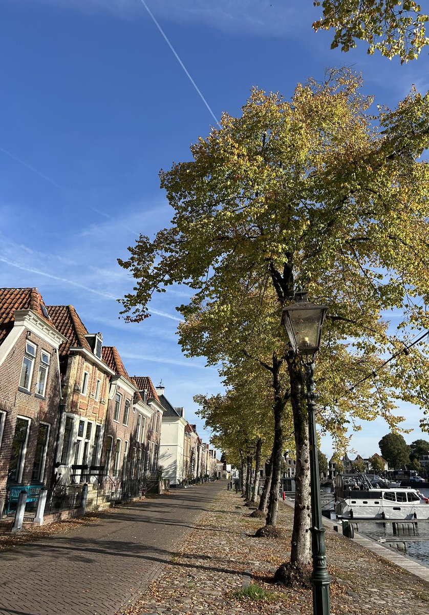 FeeBij's tweet photo. @TonneDer https://t.co/xYHVHXdRUc