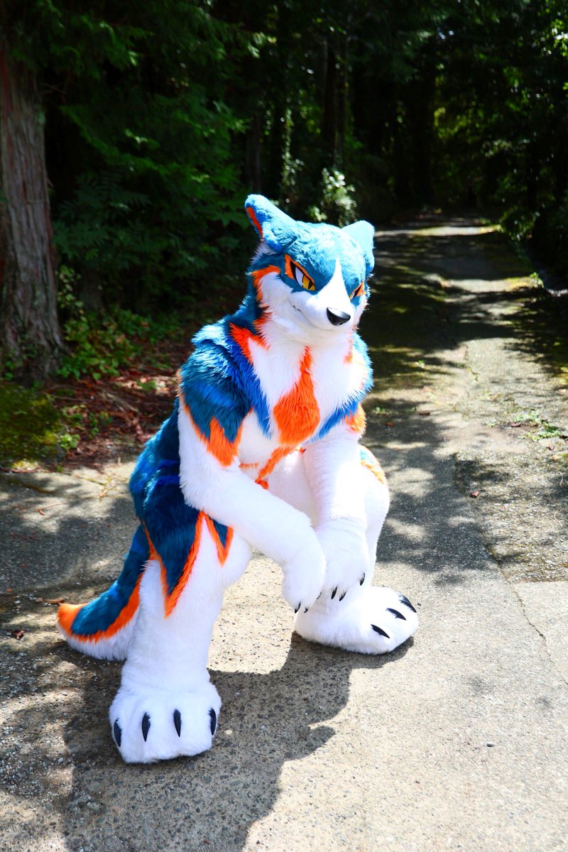 お座り！

#犬工房オフ
#FursuitFriday
📸<a href="/Kumaookami/">くまおおかみ＝華牙狼</a>