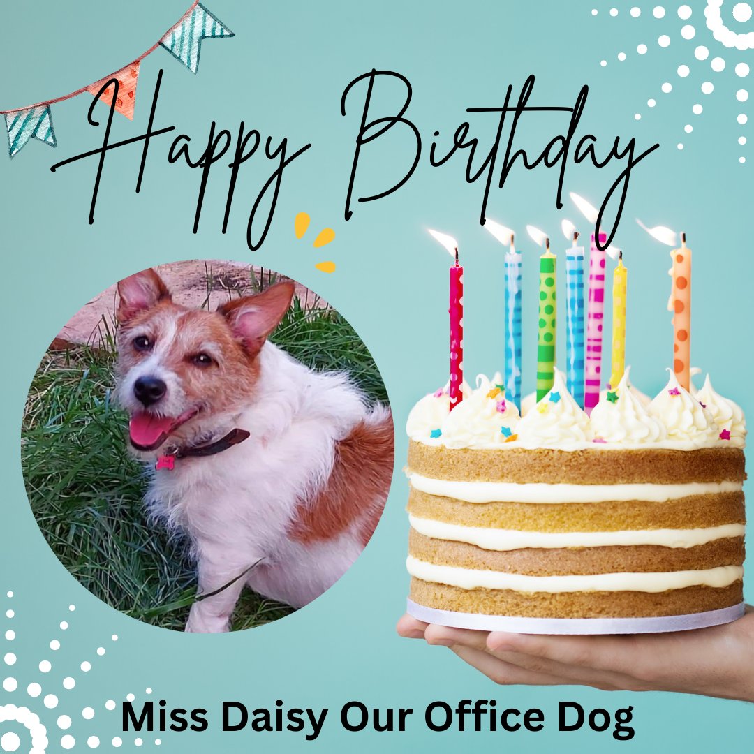 IzzyGraney's tweet photo. Happy 10th Birthday to Daisy – our senior office dog! 
Today we’re celebrating Daisy, the matriarch of our four-legged team, as she turns the big 1-0! 🥳

Here’s to many more years of naps, wagging tails, and being the best boss dog we could ask for. Happy Birthday, Daisy! 🎂🐶 https://t.co/gbmAqMvpLo