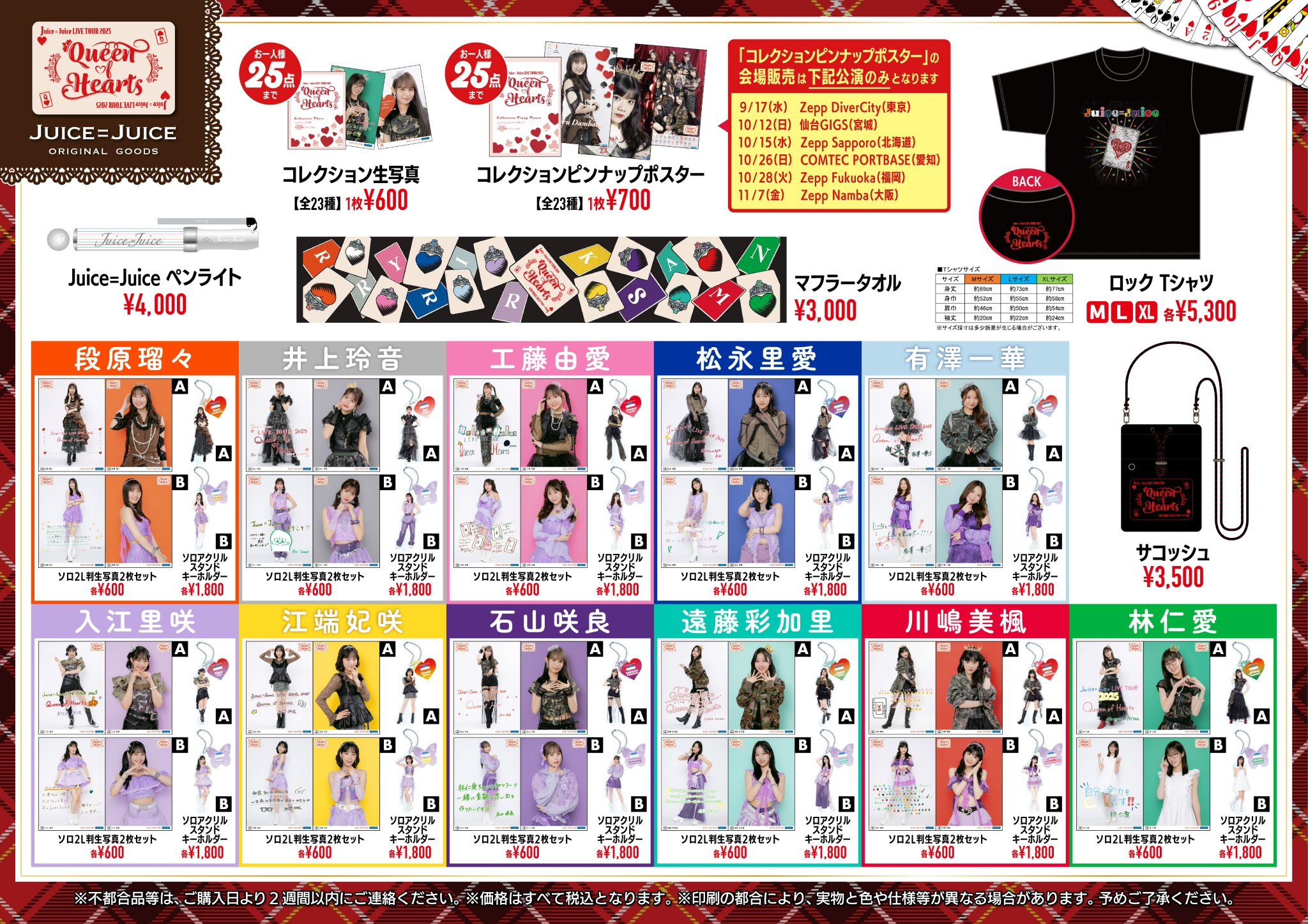 非売品｜マドンナ　VIP限定グッズ5点セット　Celebration Tour KIYOSHI HIKAWA＋KIINA. Concert Tour 2025 ～KIINA'S LAND