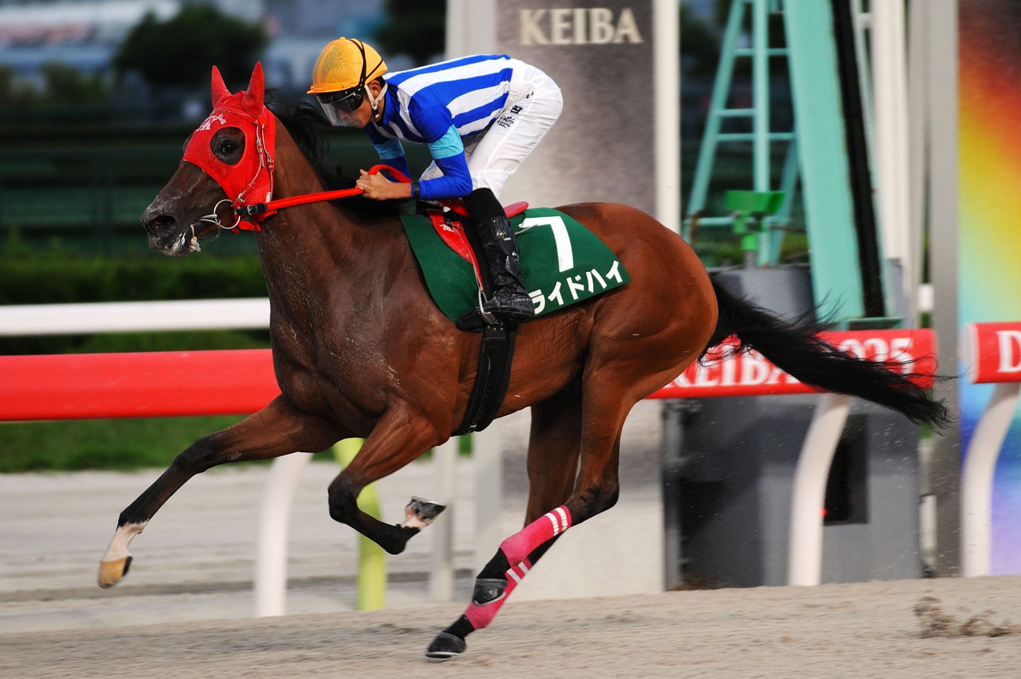 大井競馬場　藤田　凌騎手ゼッケン　第33回 全日本新人王争覇戦第２戦 大井競馬場 藤田 凌騎手ゼッケン 第33回 全日本新人王争覇戦第